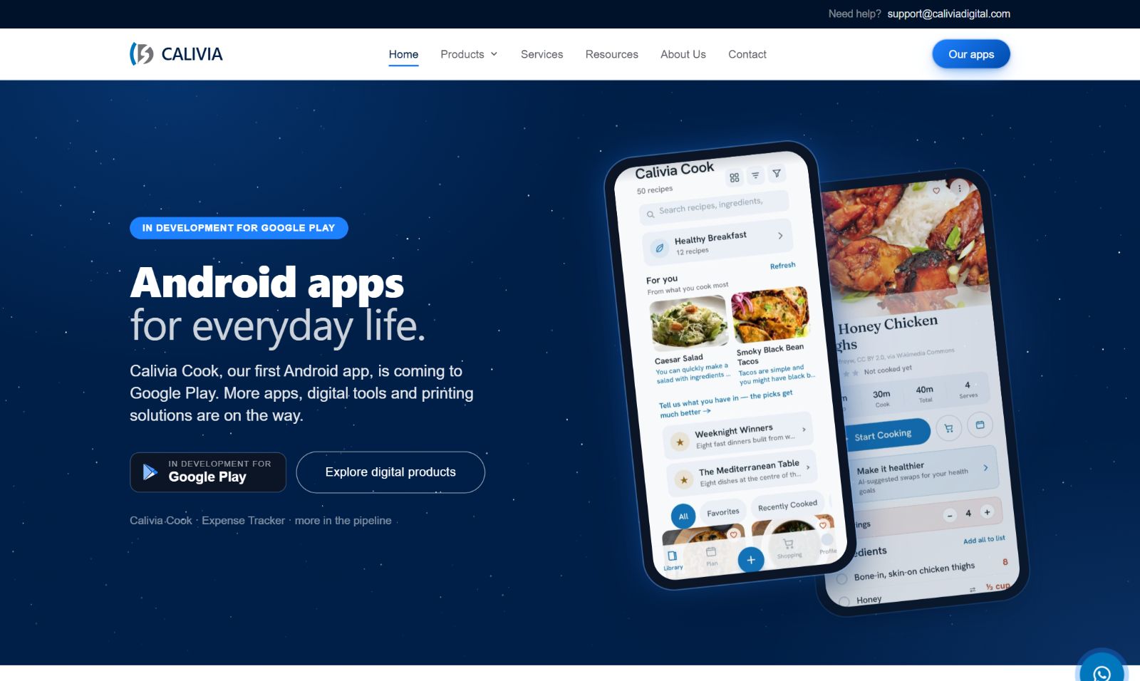 caliviadigital.com homepage hero